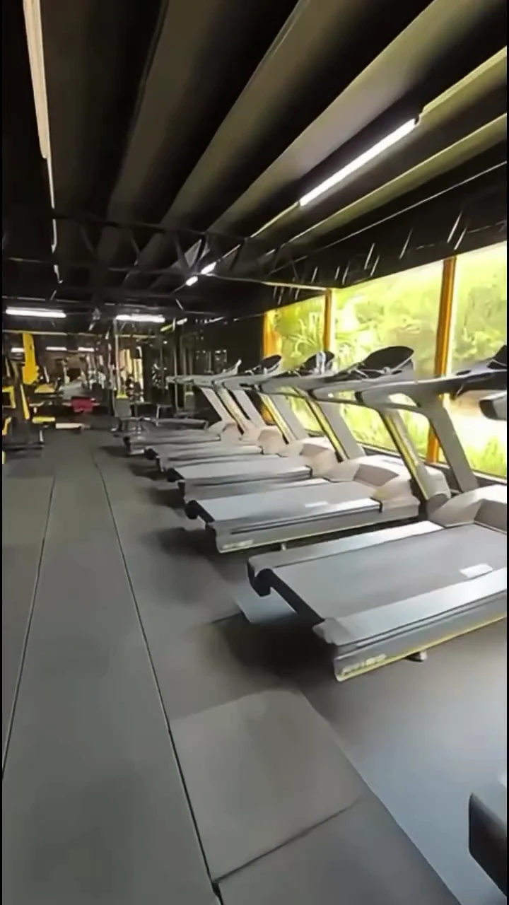 Fila de cintas junto al ventanal de Lyon Gym